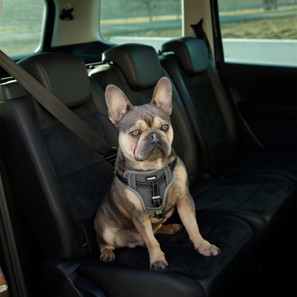 Kerbl Arnés De Seguridad De Coche Para Mascotas Negro 44-55 Cm_4