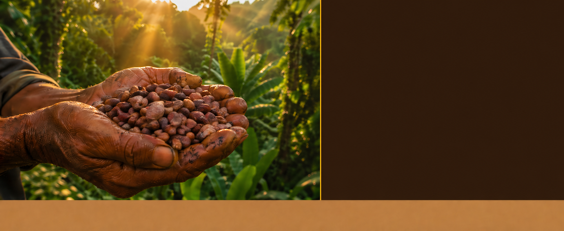 Nibs De Cacao Crudo Bio - 1kg | Cacao Puro Ecológico Vegano Para Repostería Y Bebidas, Sin Azúcares Añadidos, Sin Gluten_5