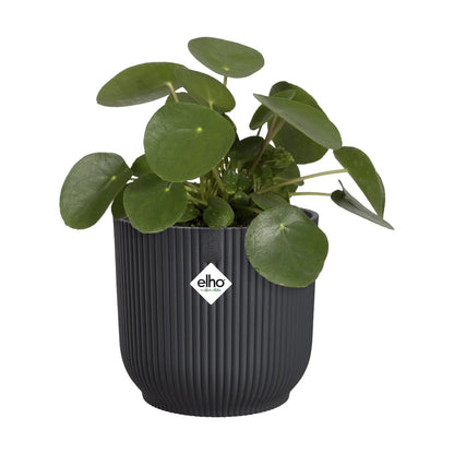 Maceta Antracita Vibes Fold Round Elho 16cm 100% reciclado