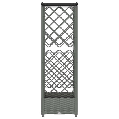 Cama Elevada Con Trellis Y Techo Gris Claro 124 X 40 X 121 Cm_3