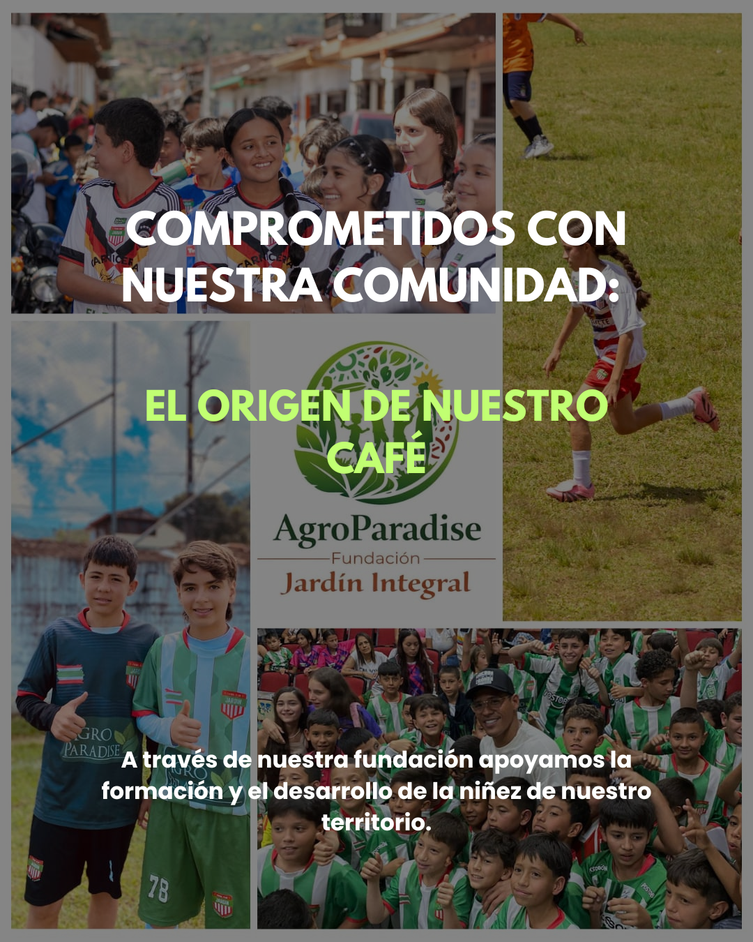 Café de Especialidad Origen Único - Colombia  – 100% Arábica –  Molido 250g_3