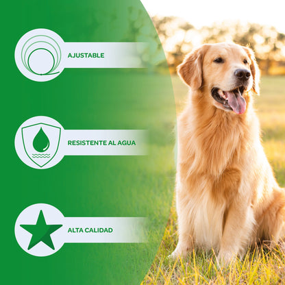 Collar Antiparasitos Para Perro Verde_5