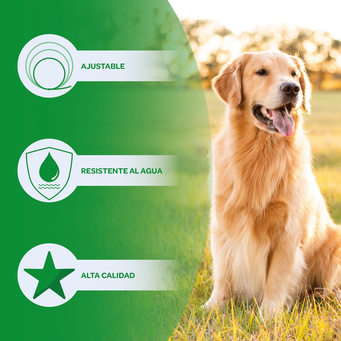 Collar Antiparasitos Para Perro Amarillo_5