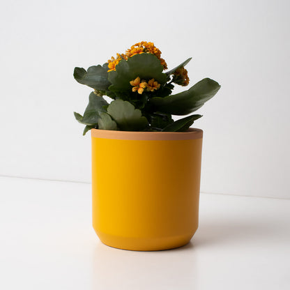 Macetero De Terracota Amarillo Azafrán 13 Cm | Hecho A Mano Por Artesanos | Maceta Decorativa Para Plantas Interior_1