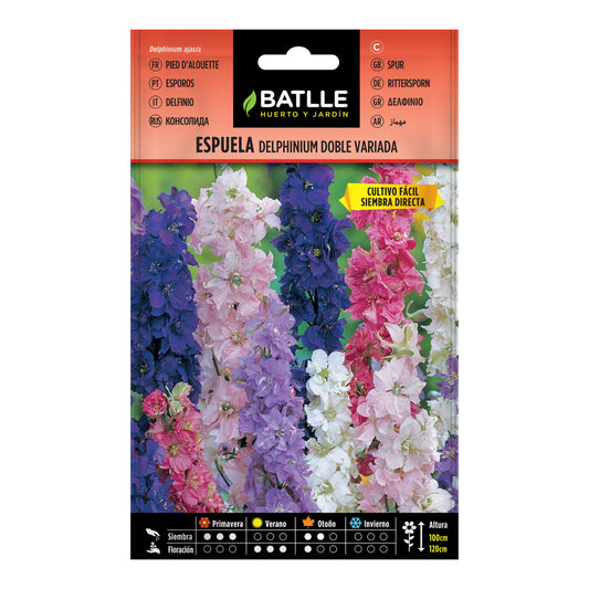 Sementes de esporão - Delphinium Double Variegated
