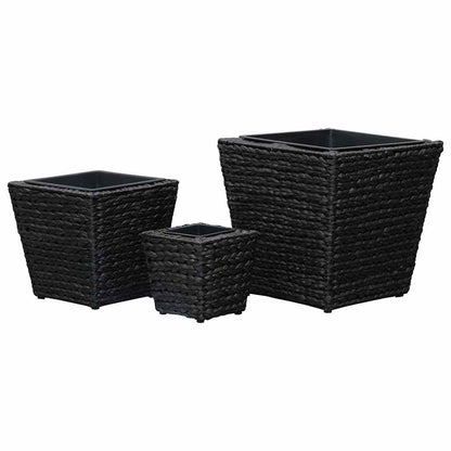 Conjunto De Arriates 3 Piezas Jacinto De Agua Negro_3