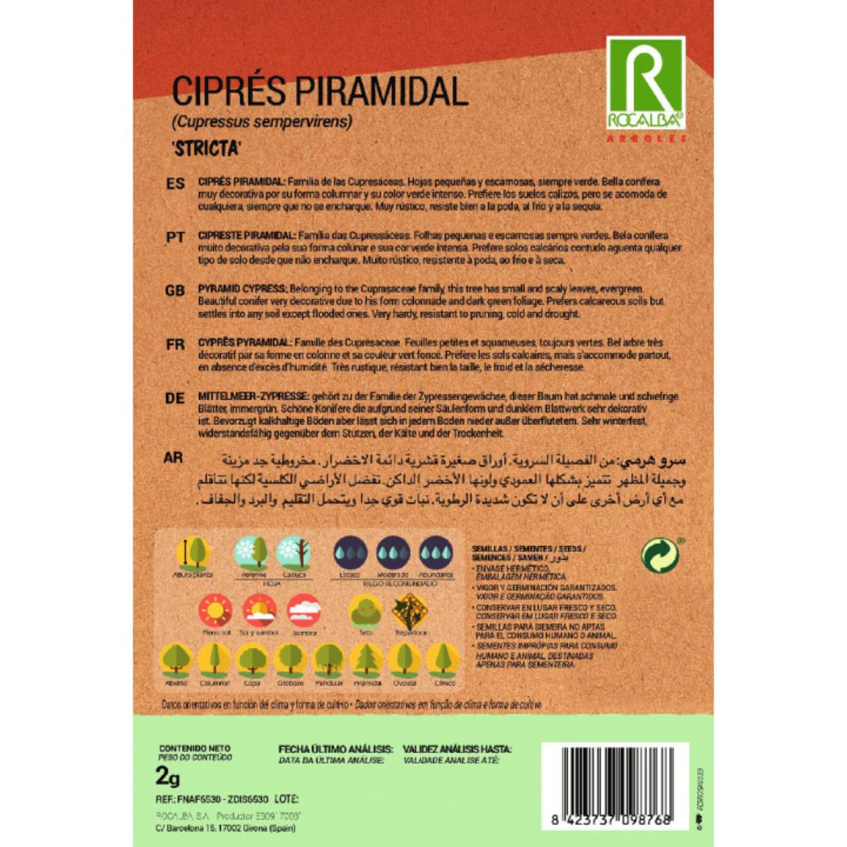 Sementes de cipreste piramidal Cipreste sempervire