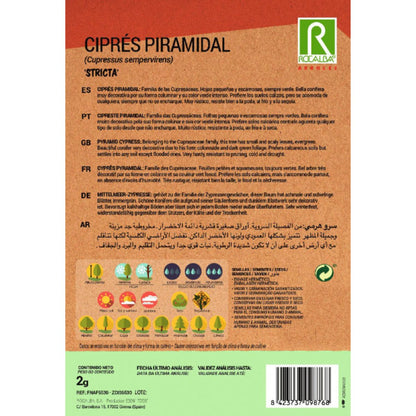 Sementes de cipreste piramidal Cipreste sempervire