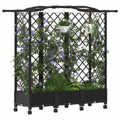 Cama Elevada Con Trellis Y Techo Negro 163 X 40 X 129 Cm Pp_2