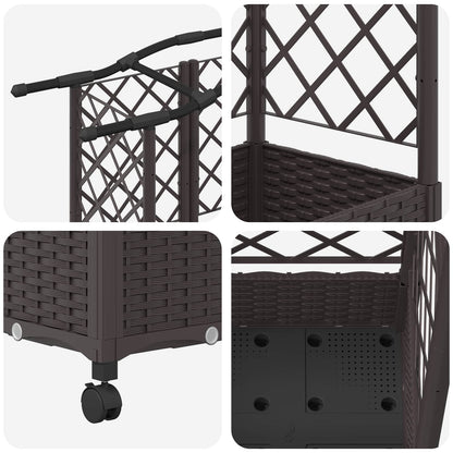 Cama Elevada Con Trellis Y Techo Marrón 203,5 X 40 X 129 Cm Pp_5