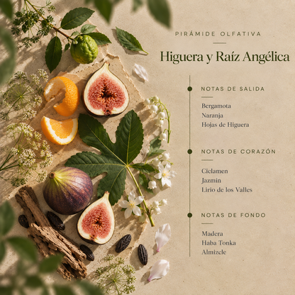 Ambientador Pulverizador Higuera y Raíz Angélica SYS Aromas 100 ml | Herbal y Frutado | Relajante_5