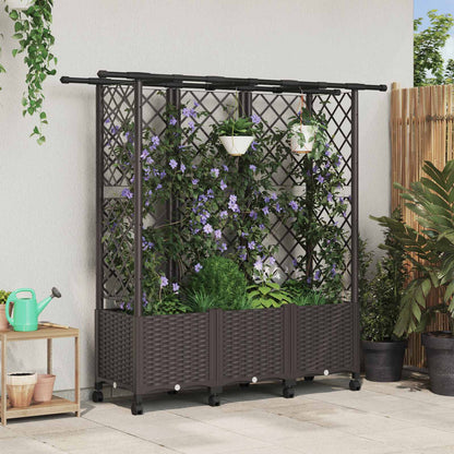 Cama Elevada Con Trellis Y Techo Marrón 163,5 X 40 X 142 Cm Pp_1