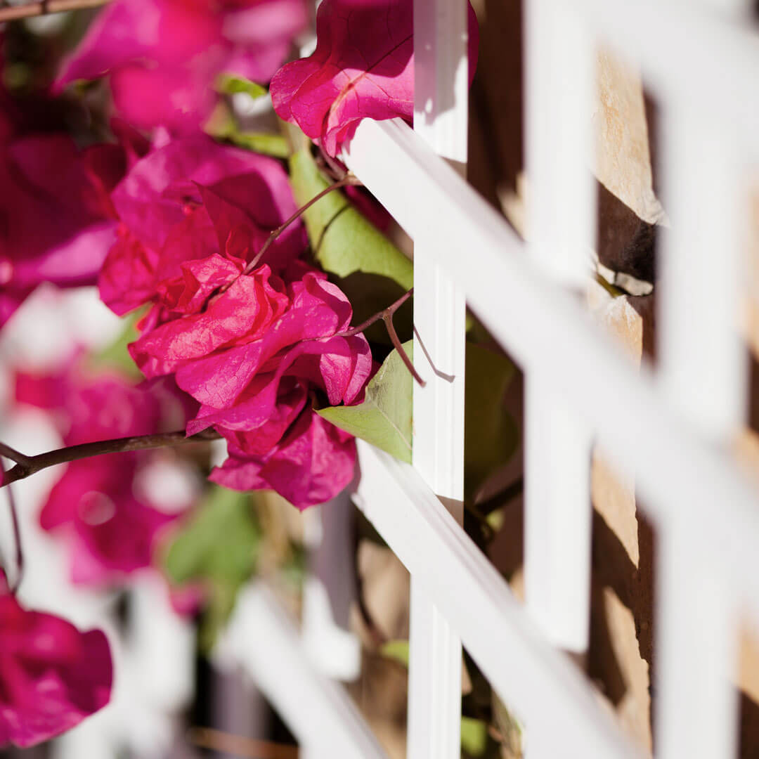 Celosia Pvc 18 Mm 0,60x1,15 M Blanco Nortene_4