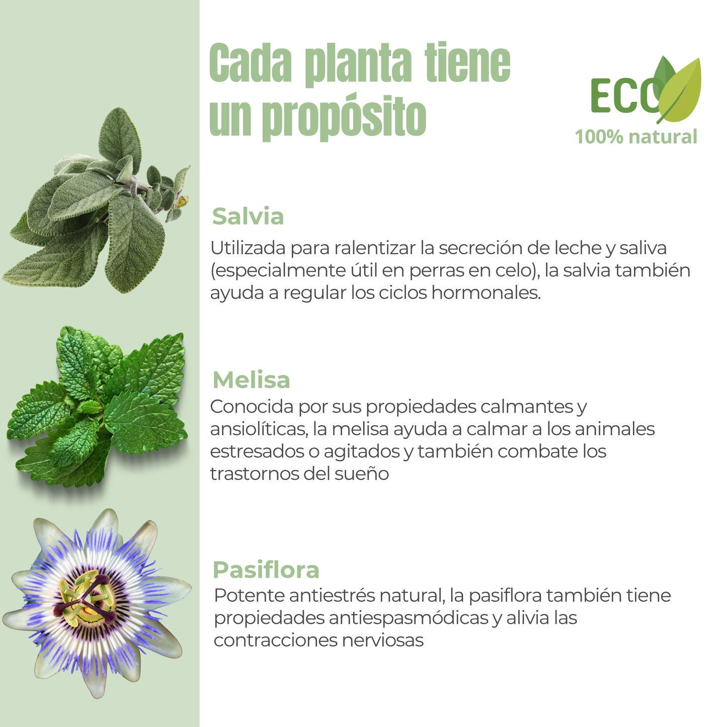 Equilibrio hormonal ECO para perras y gatas – Calma durante el celo – 100 g_2