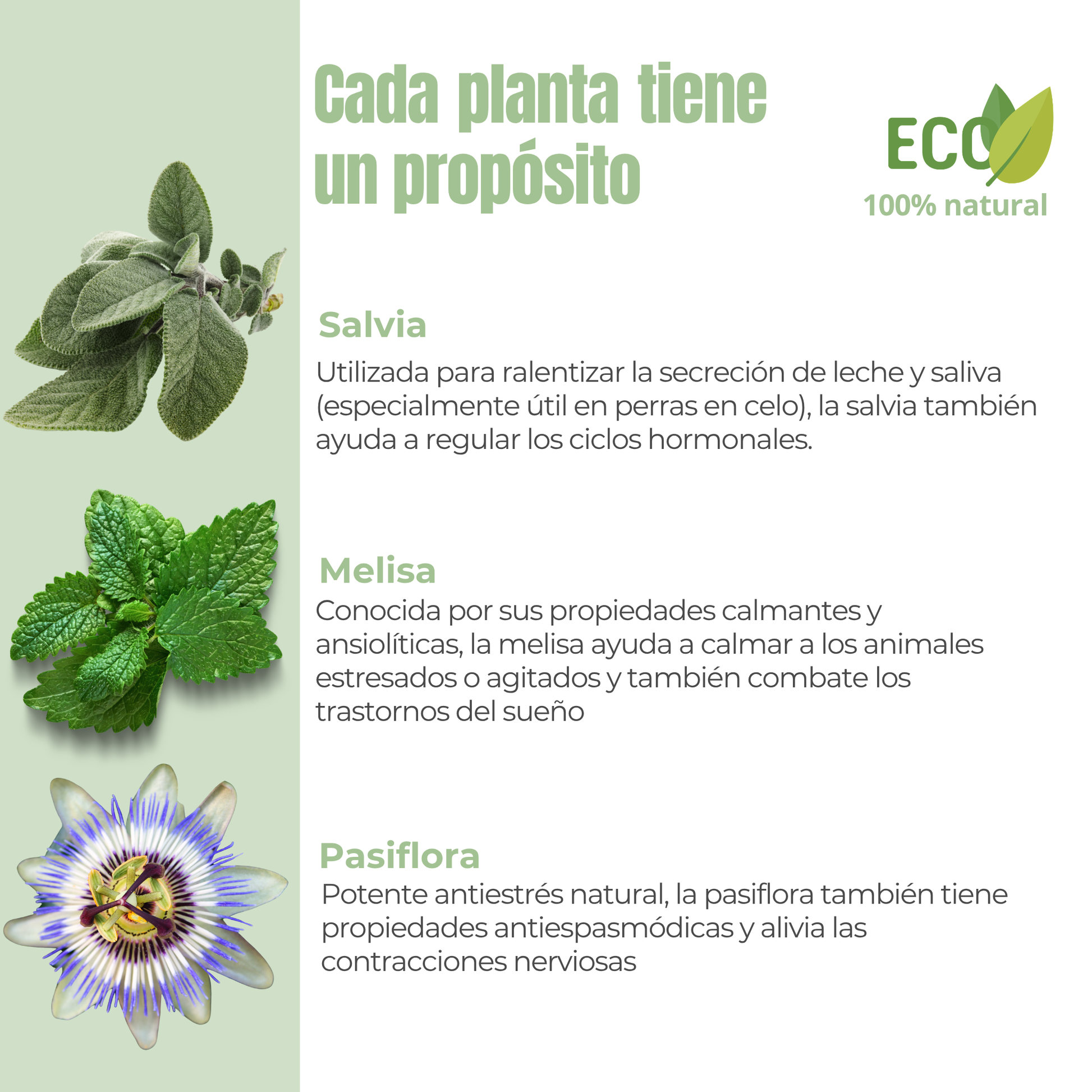 Equilibrio hormonal ECO para perras y gatas – Calma durante el celo – 100 g_2