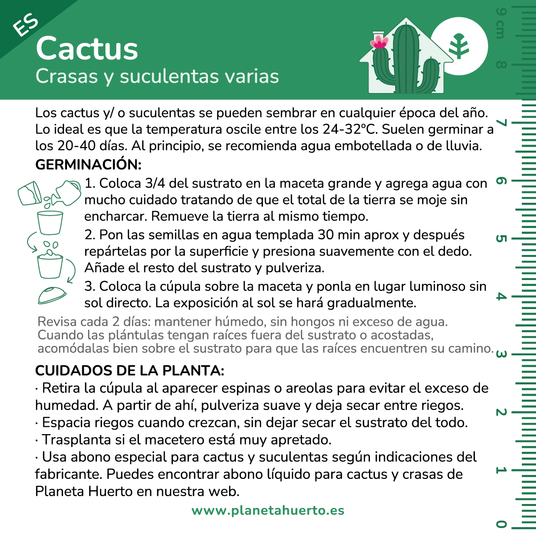 Kit de auto-cultivo de cactos Planeta Huerto