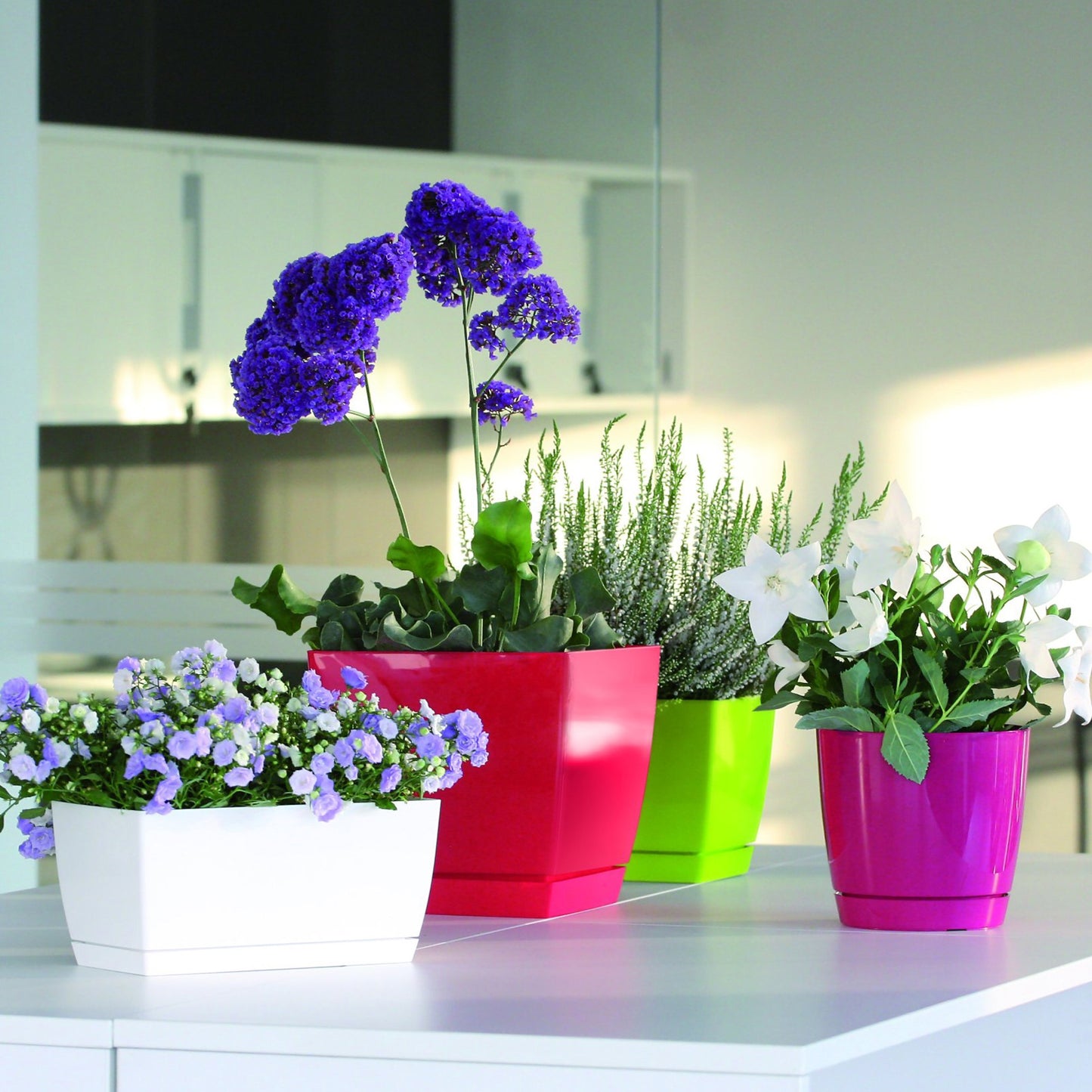 Maceta Mod. Begonya Fresh Quadro Con Plato Incluido 13,5cm. Blanco