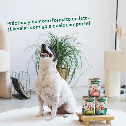 Pack de 6 Ensopados de Peru e Carne Wild Balance para Cães 400g