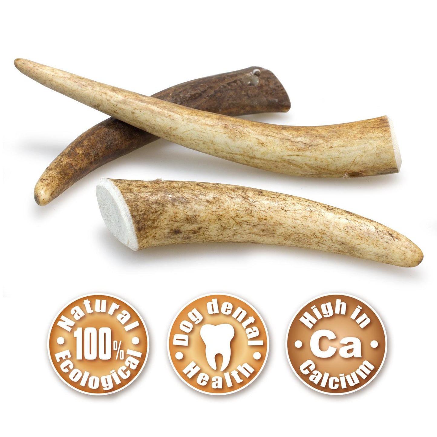Arquivet S brinquedo mastigável de chifre de veado natural para cães 15-39 g