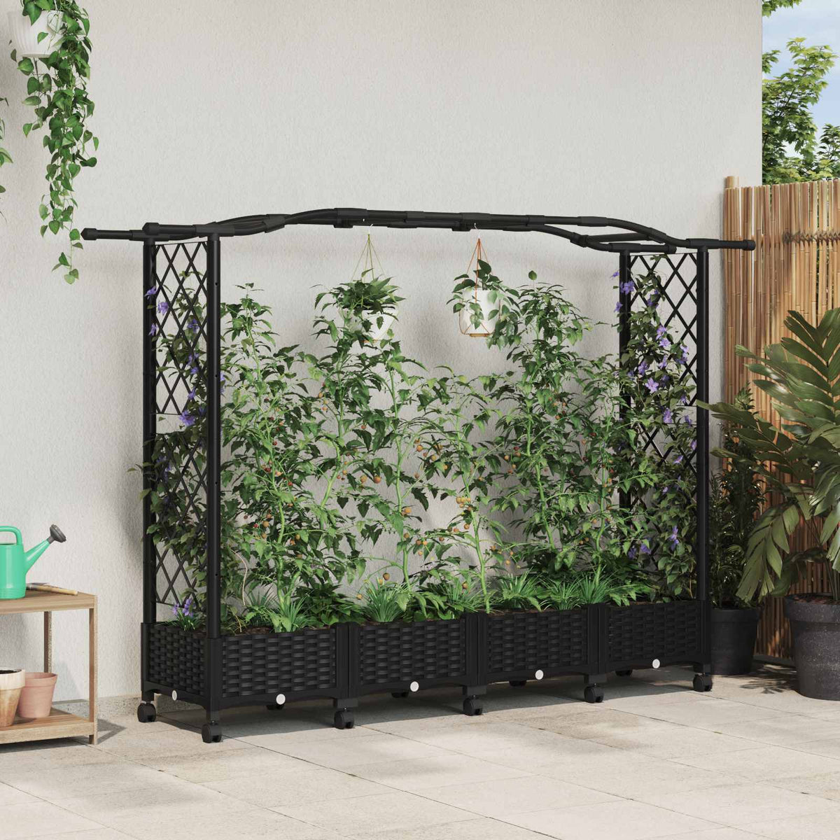 Cama Elevada Con Trellis Y Techo Negro 207 X 40 X 129 Cm Pp_1