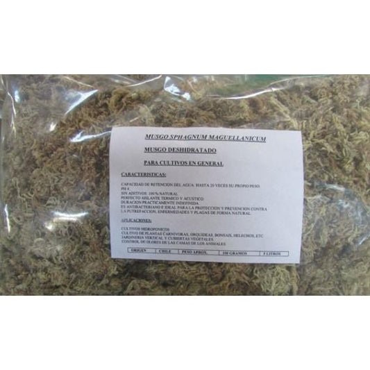 Musgo esfagno desidratado fibra longa 100g aprox.