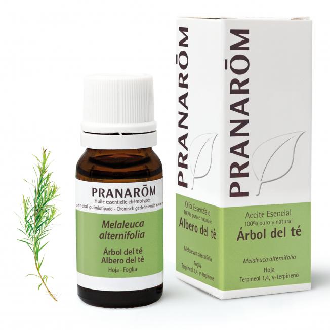 Óleo Essencial de Melaleuca Pranarom 10 ml