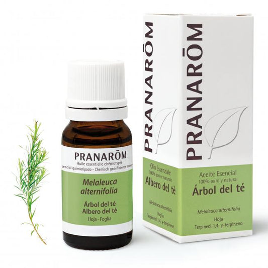 Óleo Essencial de Melaleuca Pranarom 10 ml