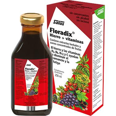 Floradix xarope de ferro Salus 500ml