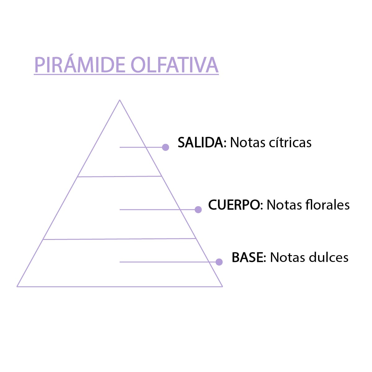 Esencia Natural White Musk 12 ml SYS Aromas | Aroma Almizcle Blanco | Difusores y Aromaterapia_3