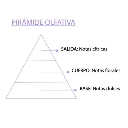 Esencia Natural White Musk 12 ml SYS Aromas | Aroma Almizcle Blanco | Difusores y Aromaterapia_3