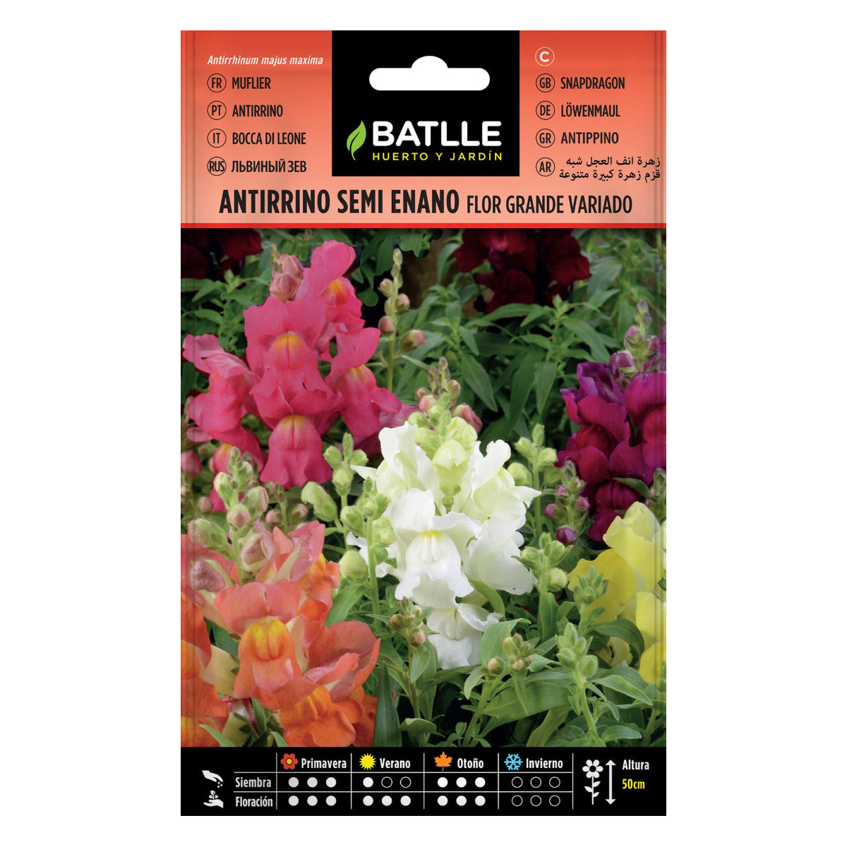 Sementes de Antirrhinum semi-anão Batlle