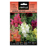 Sementes de Antirrhinum semianão