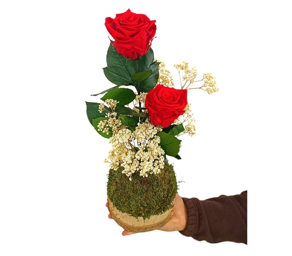 Kokedama Rosa Roja Preservada_1