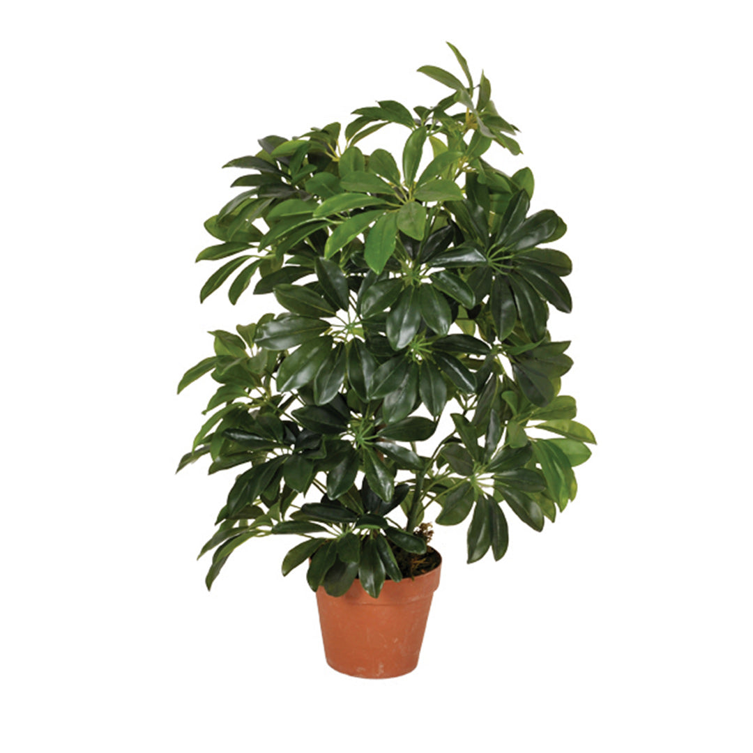 Planta Artificial Cheflara - Naturalidad Y Estilo Para Tu Hogar 0.65 M / Multicolor_0