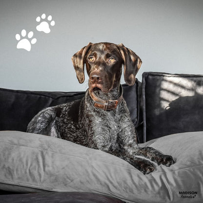 Madison Cojín Para Perros Velvet Gris 100x70x15 Cm_1
