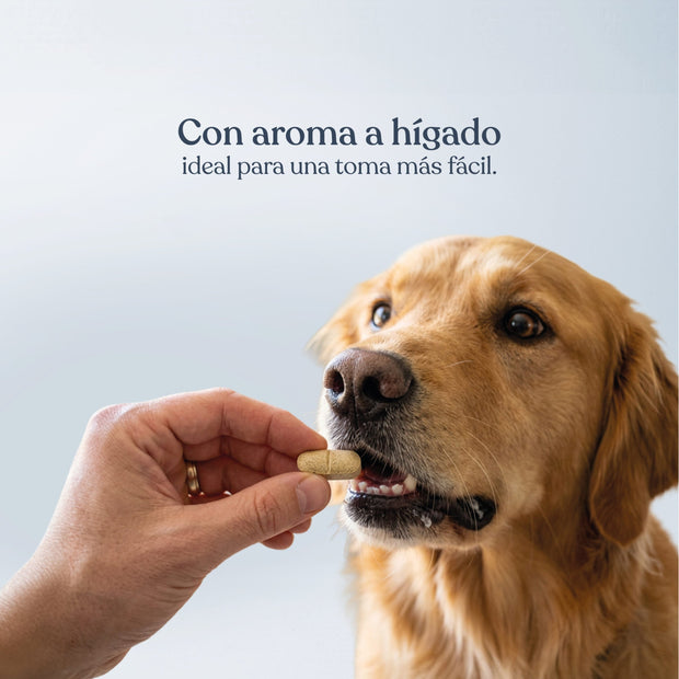 Suplemento Artromix para Perros Cuidado Articular 72 g dr.bimix