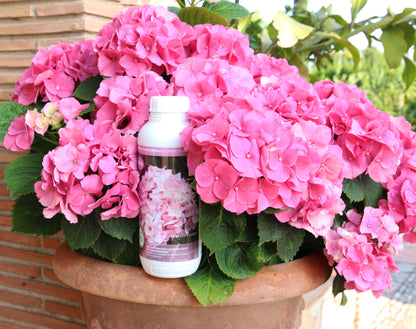Abono Hortensias Líquido Ecológico Cultivers 5 L_3