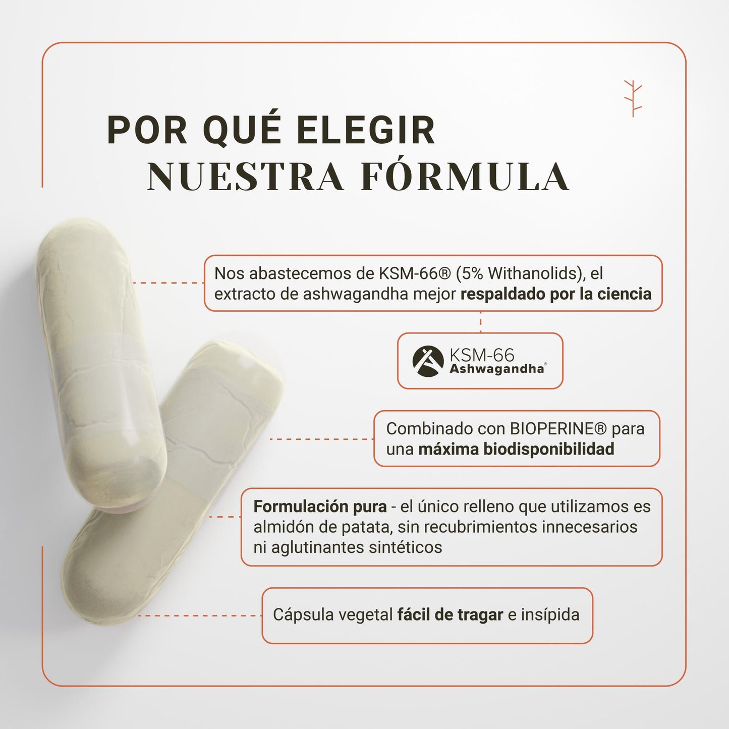 Ashwagandha orgánica ksm-66 + bioperine – antiestrés, energía y equilibrio emocional (120 cápsulas)_2