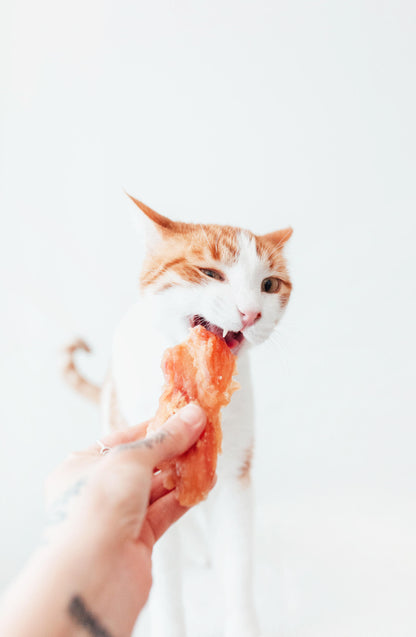 Bimorbox Perros Senior Medianos Y Grandes – Pack Ahorro Con Juguete, Mordedor De Asta De Ciervo Y Snacks Sin Aditivos_2