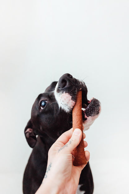 Bimorbox Perros Senior Medianos Y Grandes – Pack Ahorro Con Juguete, Mordedor De Asta De Ciervo Y Snacks Sin Aditivos_3