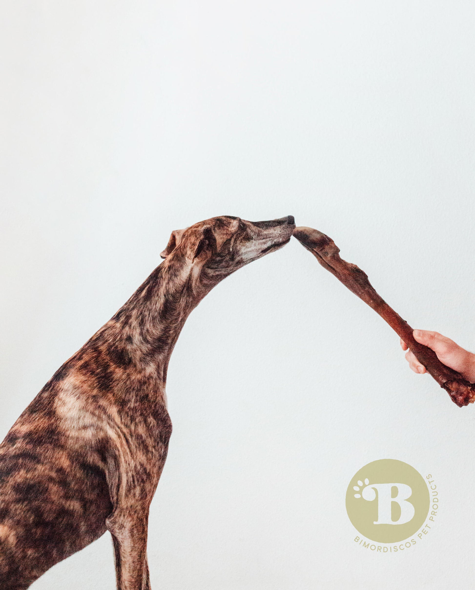 Bimorbox Wildlife · Pack Snacks Y Juguetes Naturales Para Perros._2