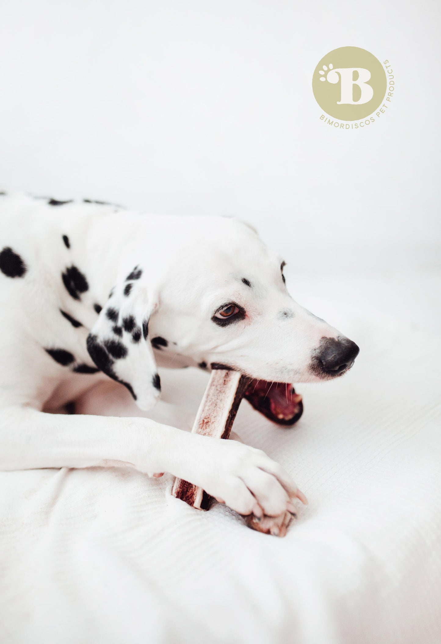 Bimordiscos Asta De Ciervo Partida Para Perros. L_1