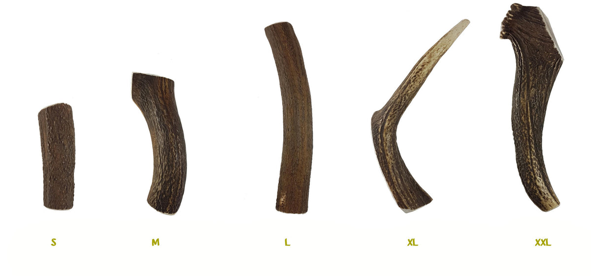Bimordiscos Asta De Ciervo Partida Para Perros. S_3