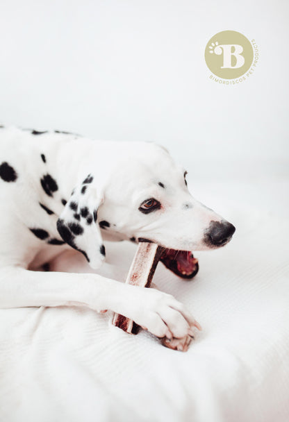 Bimordiscos Asta De Ciervo Partida Para Perros. M_1