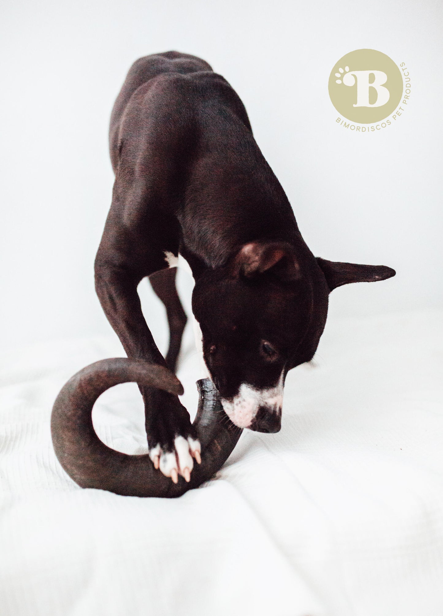 Bimordiscos Cuerno De Búfalo Para Perros. S_1