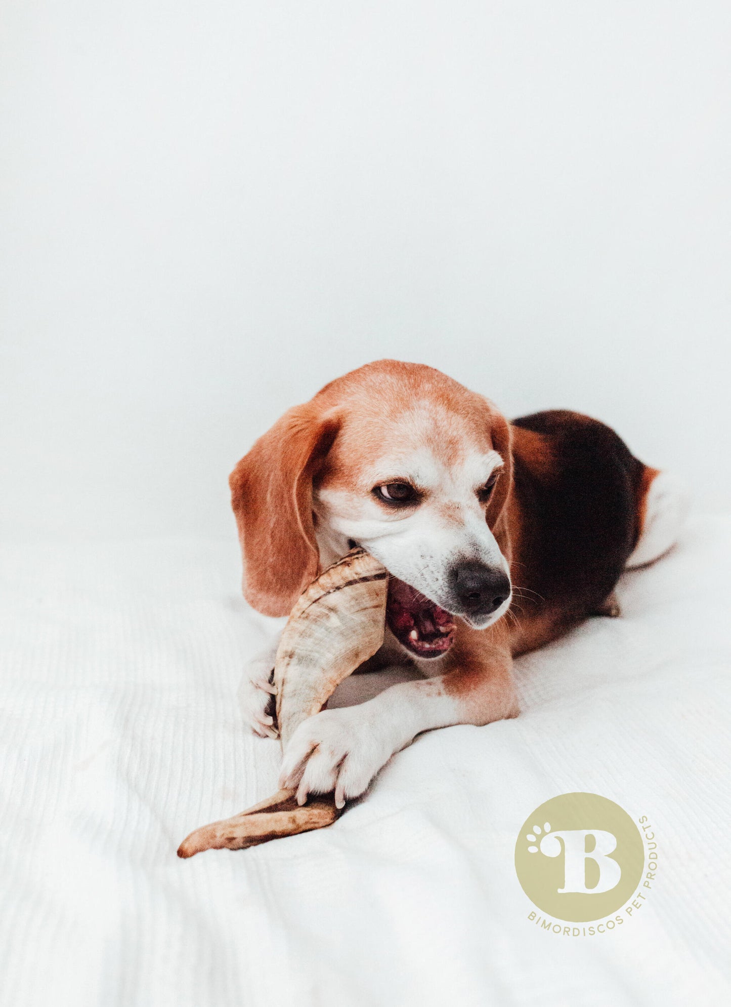 Bimordiscos Cuerno De Carnero Para Perros Pack. 2 X L_1