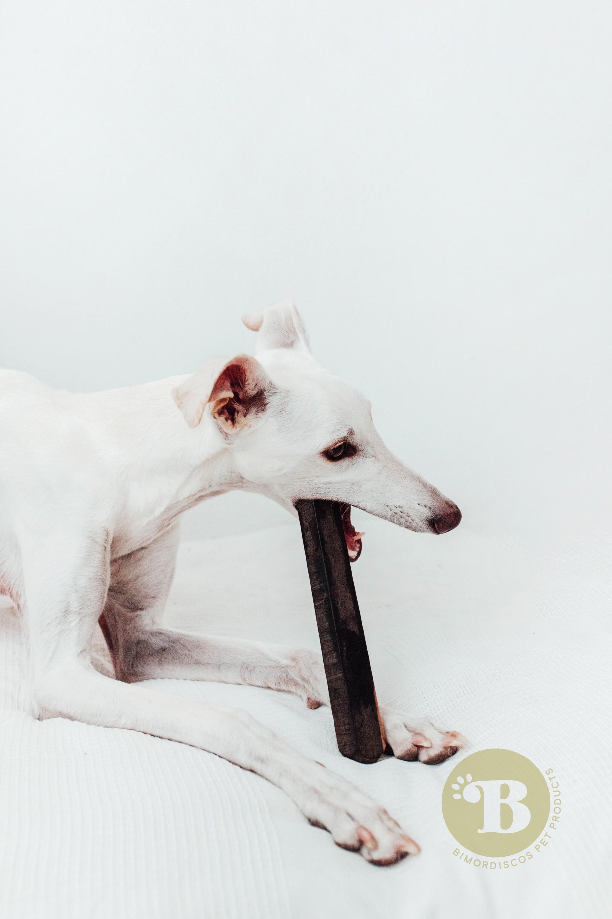 Bimordiscos Palo De Ébano Para Perros. M_1