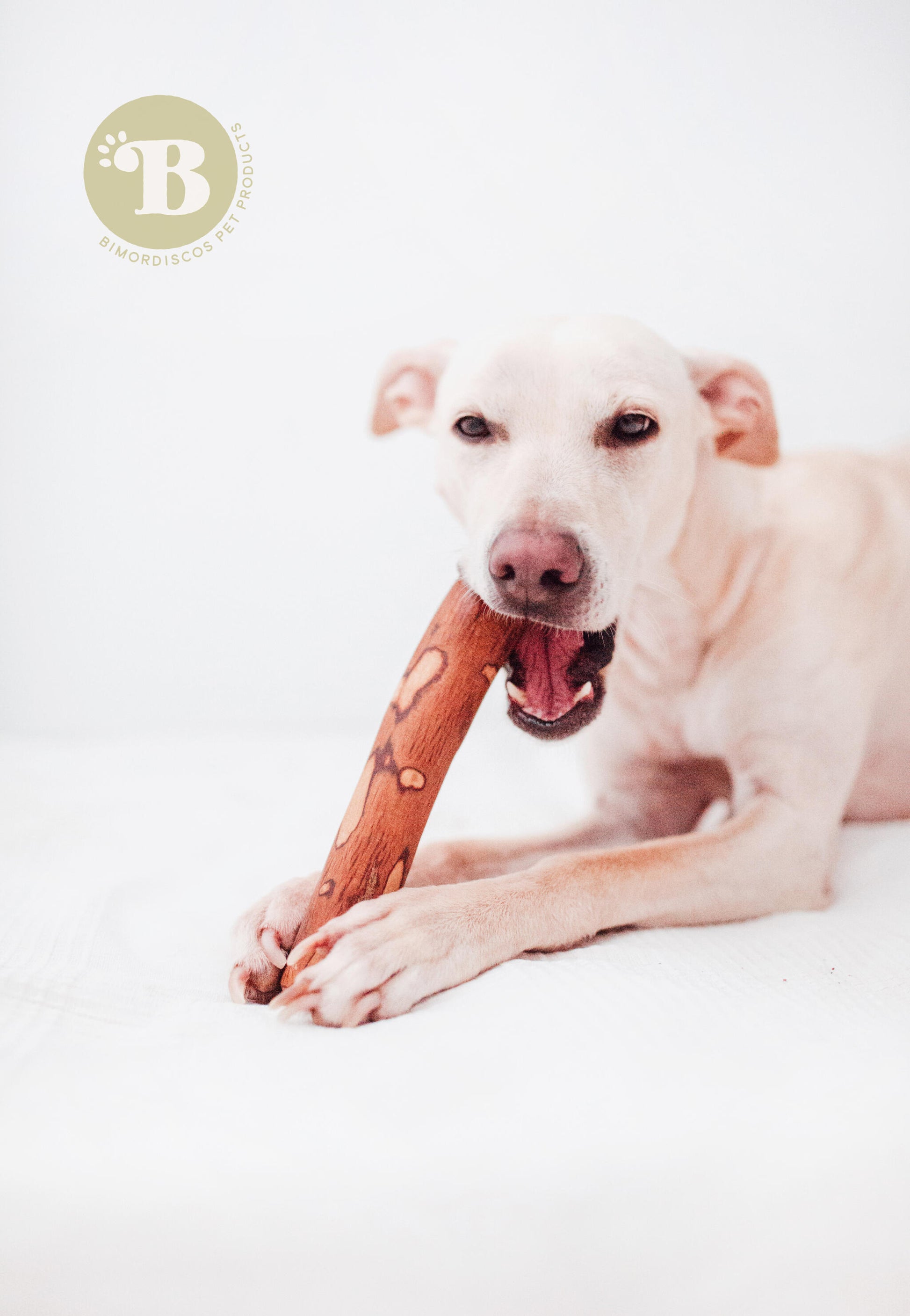 Bimordiscos Palo De Olivo Para Perros Con Aceite De Salmón. M_1