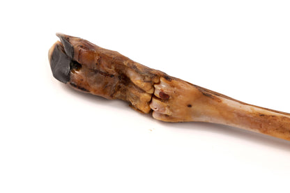 Bimordiscos Pata De Ciervo Para Perros._1