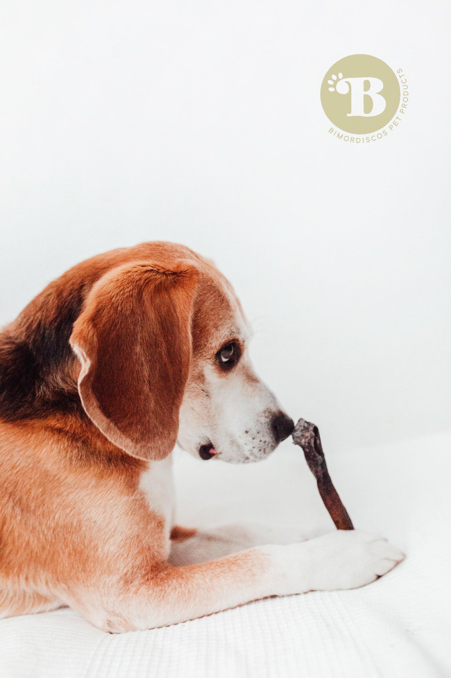 Bimordiscos Piel De Camello Para Perros · 100g_2